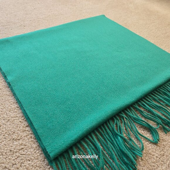 Ann Taylor Cashmere Green Fringed Scarf - Picture 12 of 16